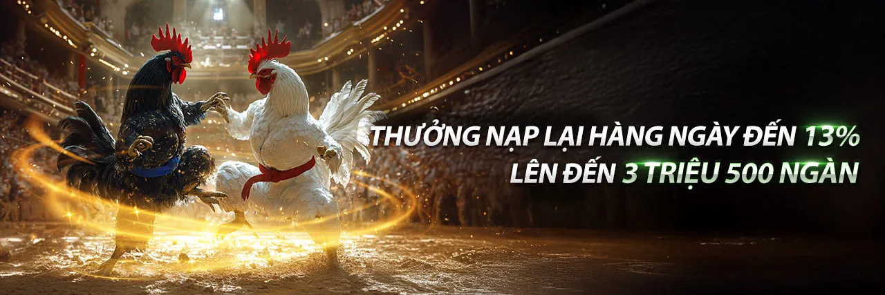 Cá cược thể thao trực tiếp